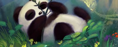 ​熊猫冬眠吗为什么 熊猫是否冬眠