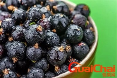 ​黑加仑是什么水果有什么作用？黑加仑是什么水果怎么吃？