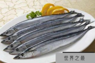 ​中国最值钱的三种鱼，最贵的一条347万元